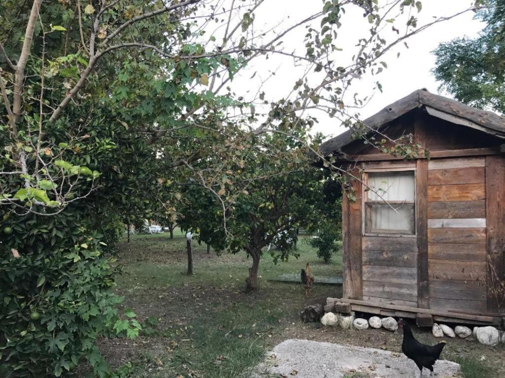 Hane-I Keyif Pension Cirali Exterior photo