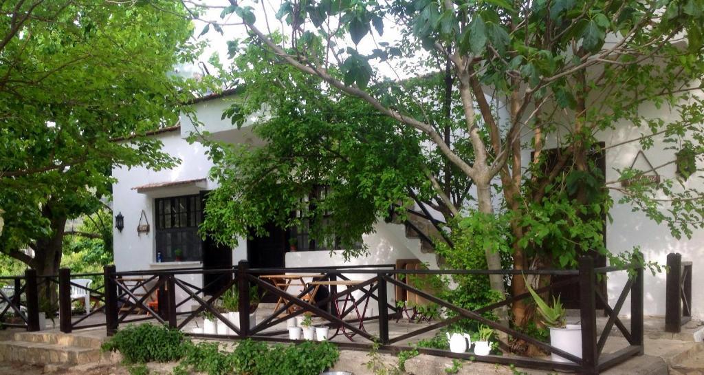 Hane-I Keyif Pension Cirali Exterior photo